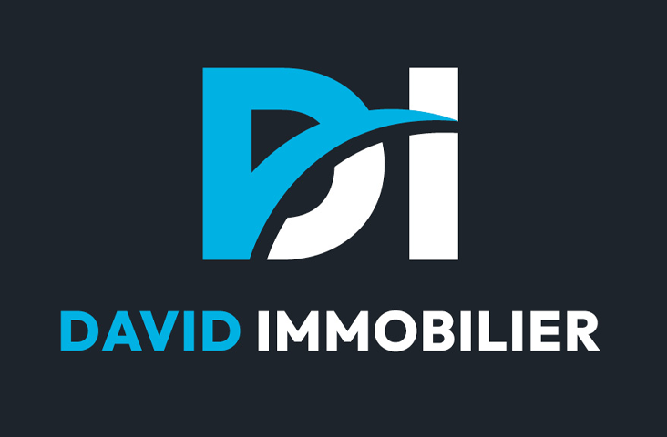 david-immobilier